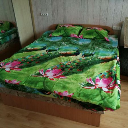 Flat, 1 Room, Study Panevezys Exterior photo
